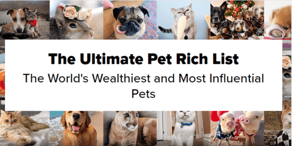 Pet Rich List Digital PR Campaign
